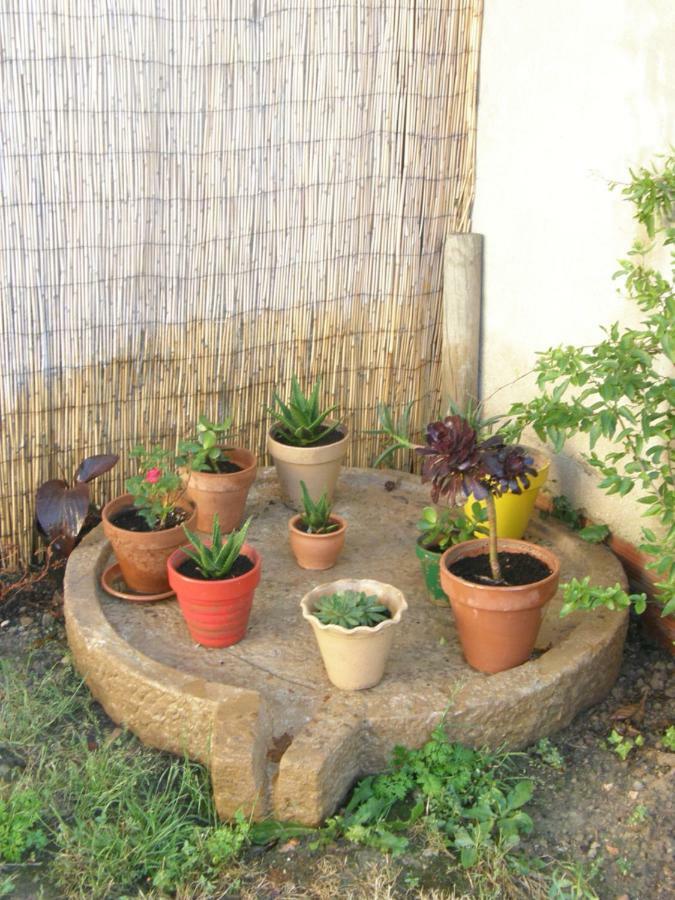 Casa Rural Carino Armananzas المظهر الخارجي الصورة